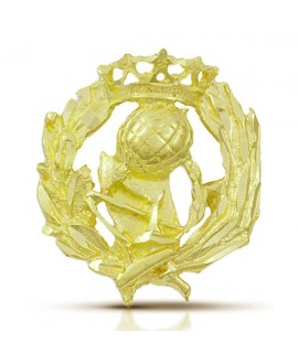 Pin insignia de Magisterio oro